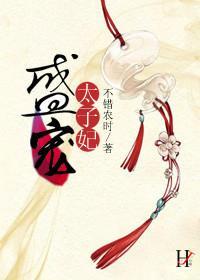 盛宠太子妃封面