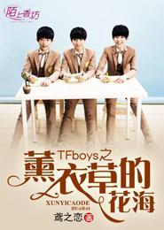 TFboys之熏衣草的花海封面
