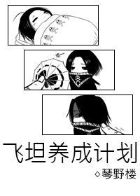 [猎人]飞坦养成计划封面