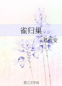 雀归巢封面