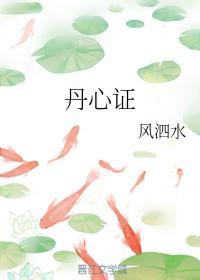 丹心证封面