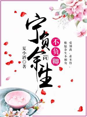 宁负余生不负卿封面