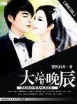 大婚晚辰封面
