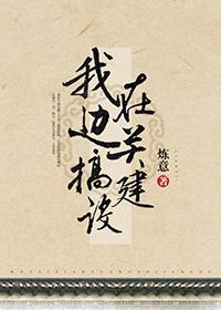 我在边关搞建设封面