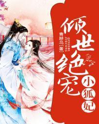 倾世绝宠小狐妃封面