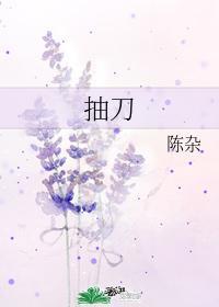 抽刀封面