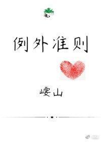 例外准则封面