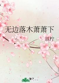 无边落木萧萧下封面