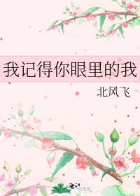 我记得你眼里的我封面