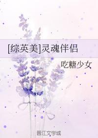 [综美英]灵魂伴侣封面