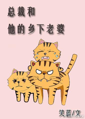 总裁和他的乡下老婆封面