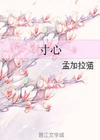 寸心封面