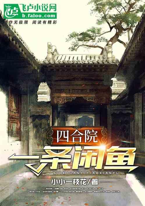 四合院：一条闲鱼封面