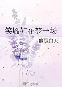笑靥如花梦一场封面
