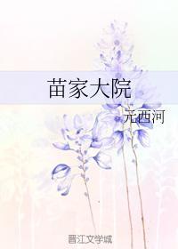 苗家大院封面