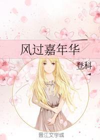 风过嘉年华封面