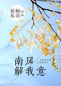 南风解我意封面