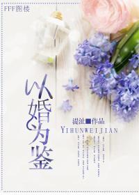 以婚为鉴封面