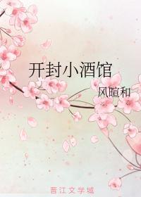 开封小酒馆封面