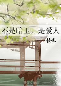不是暗卫，是爱人封面
