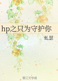 hp之只为守护你封面
