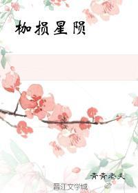 枷损星陨封面