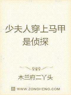少夫人穿上马甲是侦探封面