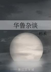 华鲁杂谈封面