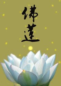 佛莲封面