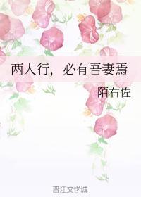 两人行,必有吾妻焉封面