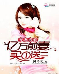 宠妻成瘾：亿万前妻买一送二封面