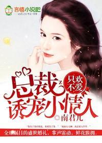 只欢不爱，总裁诱宠小爱人封面