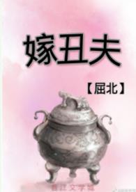 嫁丑夫封面