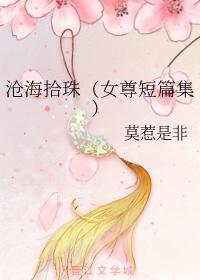 沧海拾珠（女尊短篇集）封面