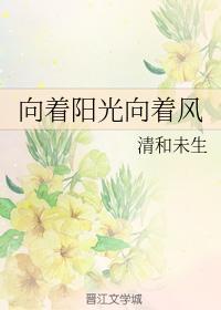 向着阳光向着风封面