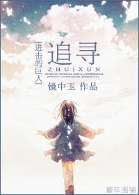 [进击的巨人]追寻封面