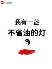 我有一盏不省油的灯封面