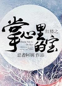 红楼之掌心里的宝封面
