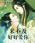 来不及好好爱你封面