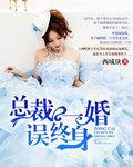 总裁一婚误终身封面