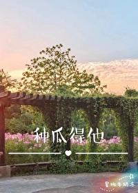种瓜得他封面