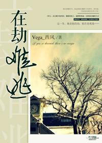 在劫难逃封面