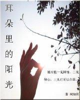 耳朵里的阳光（一）封面