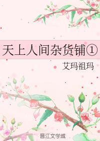 天上人间-杂货铺封面