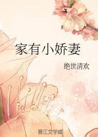 家有小娇妻封面