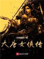 大唐女侠传封面