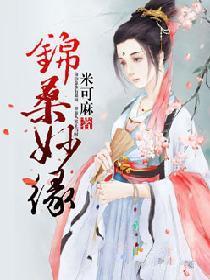 锦桑妙缘封面