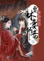 朕的凤君要休妻（女尊）封面