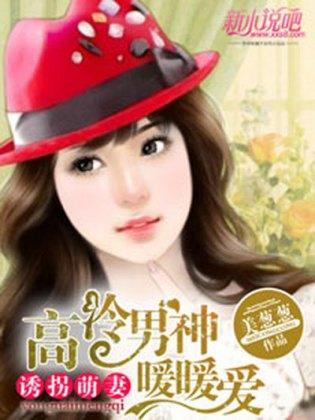 诱拐萌妻：高冷男神暖暖爱封面