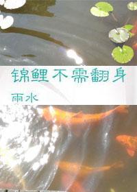 锦鲤不需翻身封面